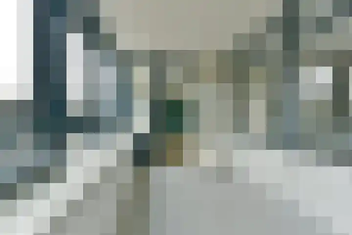 Laan van Vollenhove 218 Zeist thumbnail 24