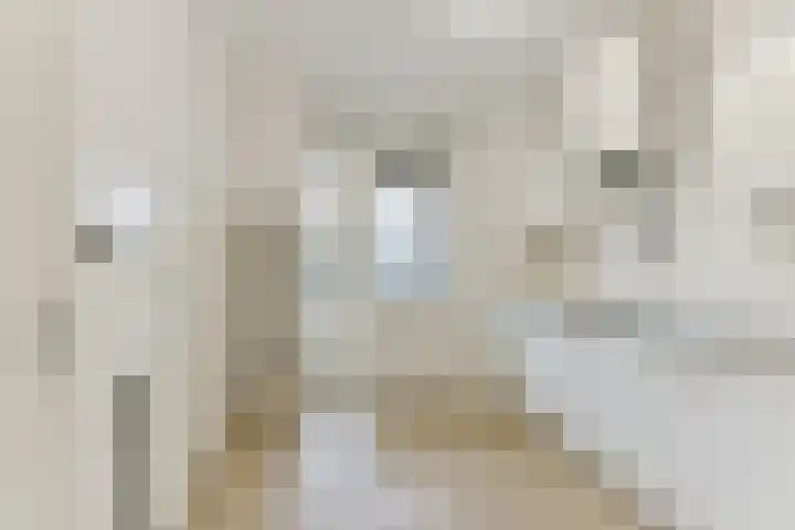 Laan van Vollenhove 218 Zeist thumbnail 26