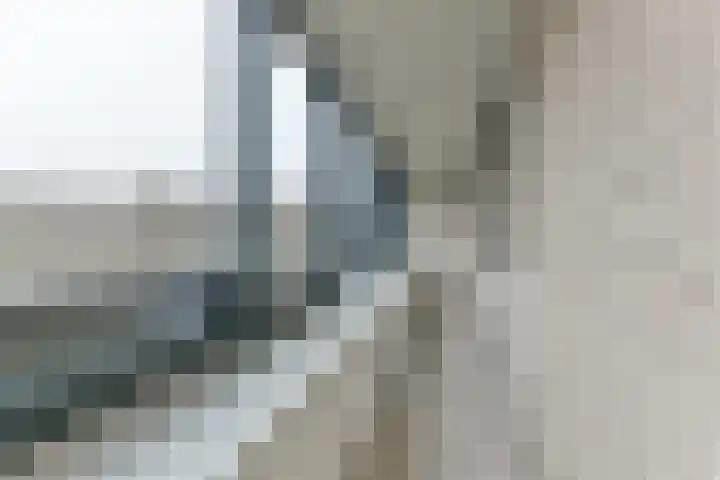 Laan van Vollenhove 218 Zeist thumbnail 30