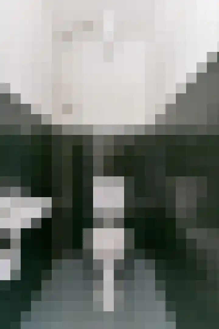 Laan van Vollenhove 218 Zeist thumbnail 35