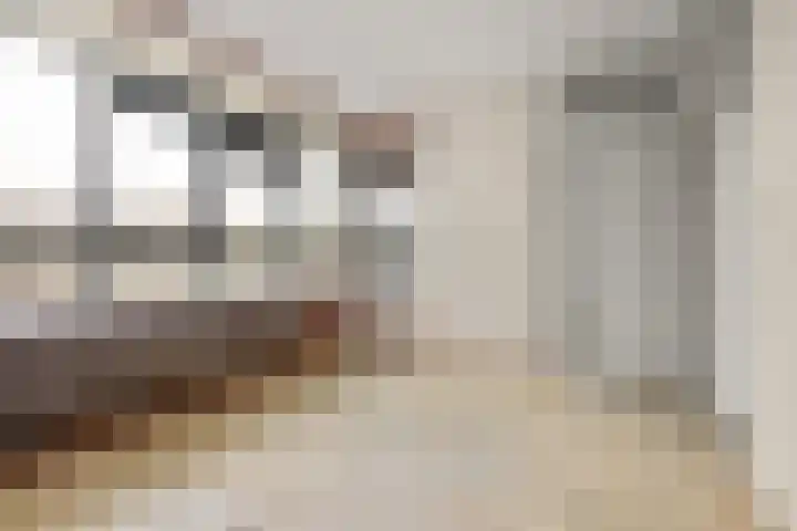 Laan van Vollenhove 222 Zeist thumbnail 17