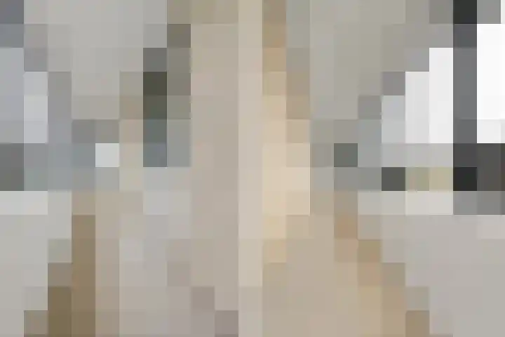 Laan van Vollenhove 222 Zeist thumbnail 25