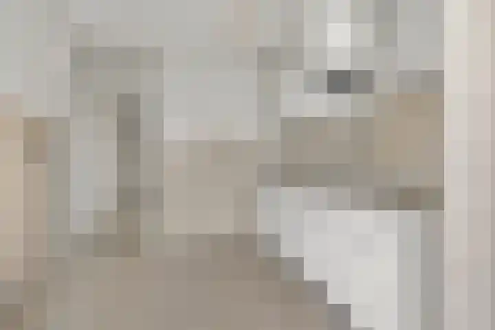 Laan van Vollenhove 222 Zeist thumbnail 27