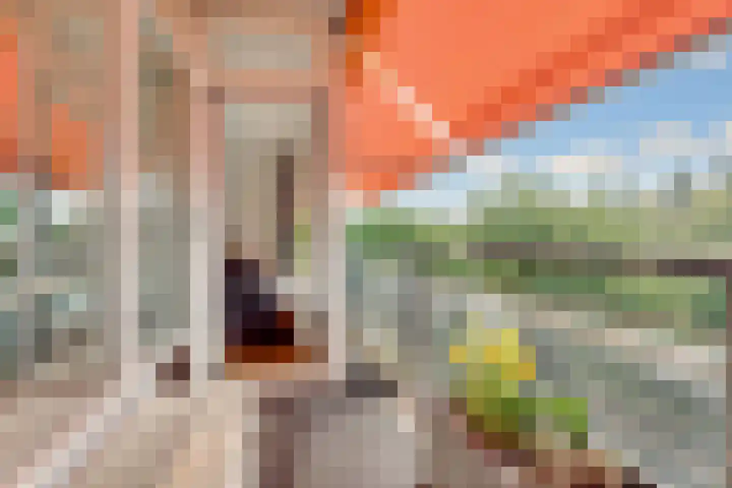 Laan van Vollenhove 2221 Zeist thumbnail 10
