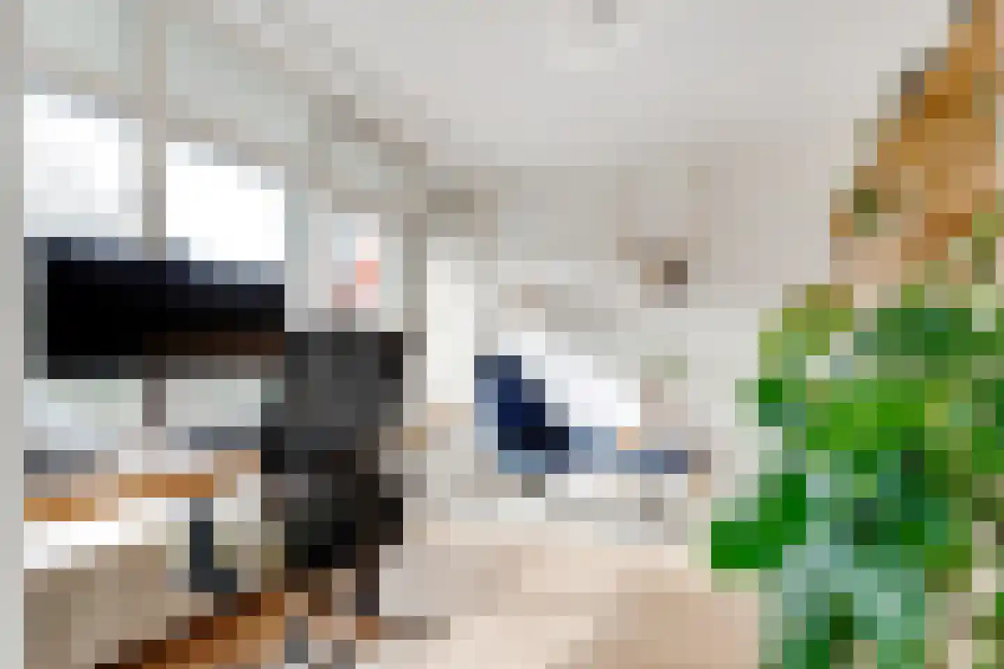 Laan van Vollenhove 2221 Zeist thumbnail 12