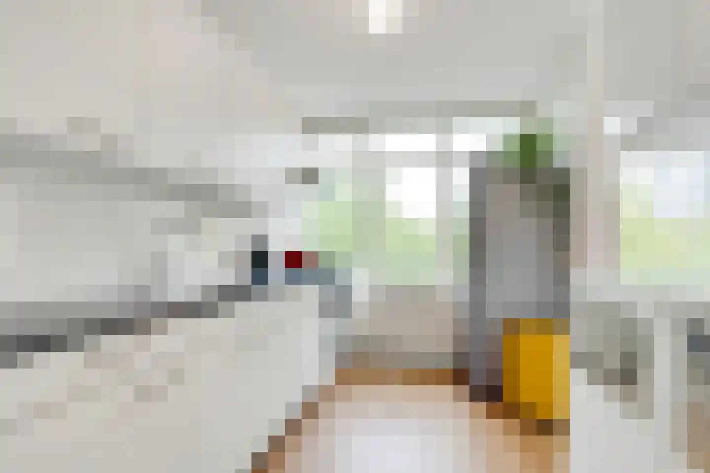 Laan van Vollenhove 2221 Zeist thumbnail 14
