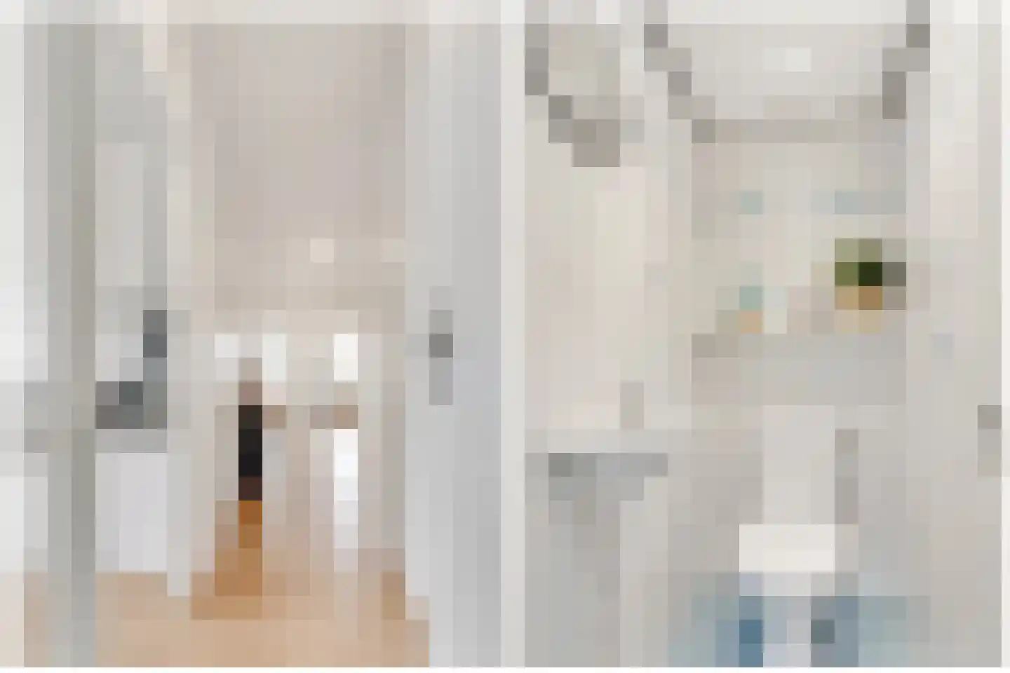 Laan van Vollenhove 2221 Zeist thumbnail 27