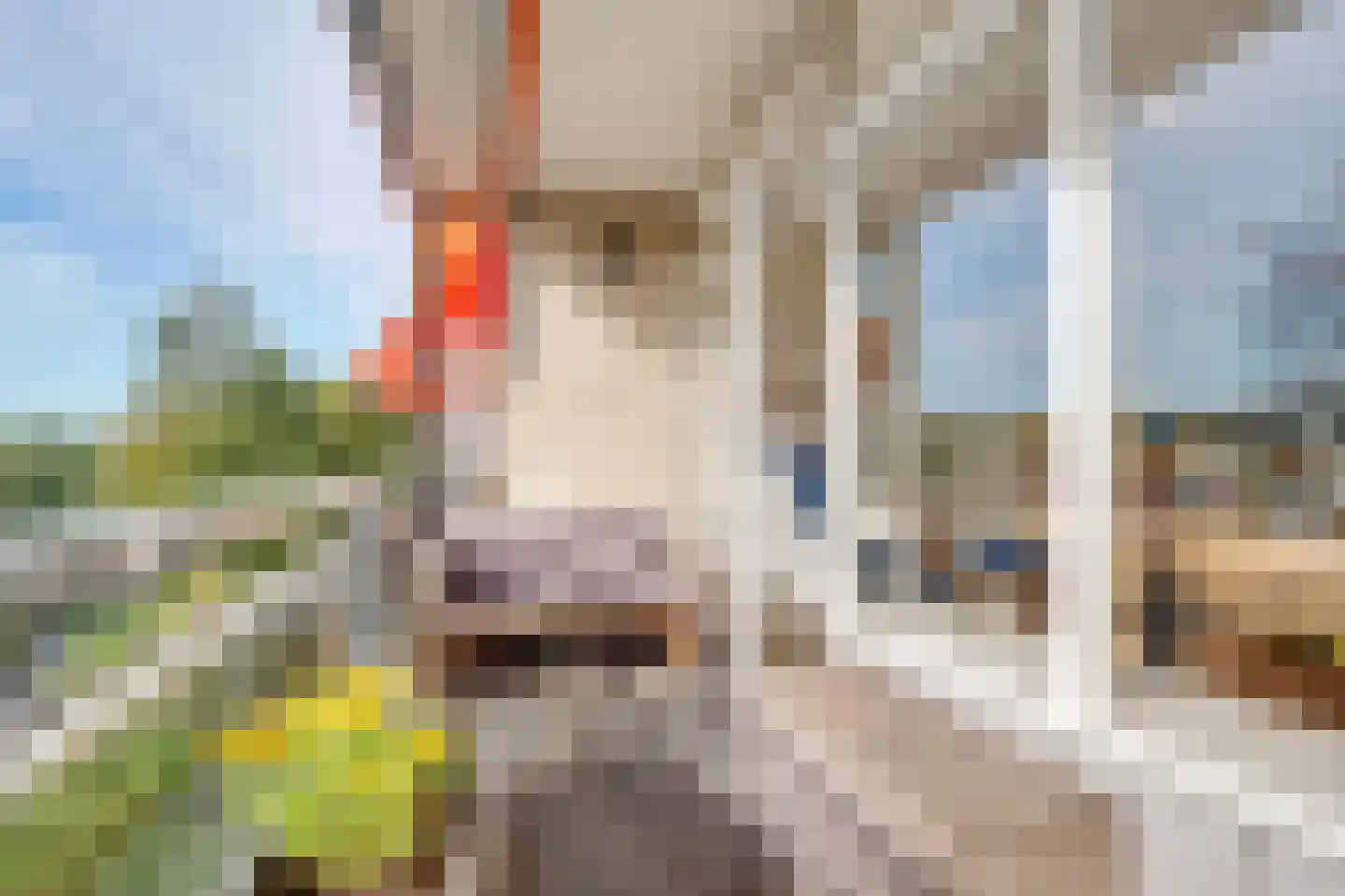 Laan van Vollenhove 2221 Zeist foto 3
