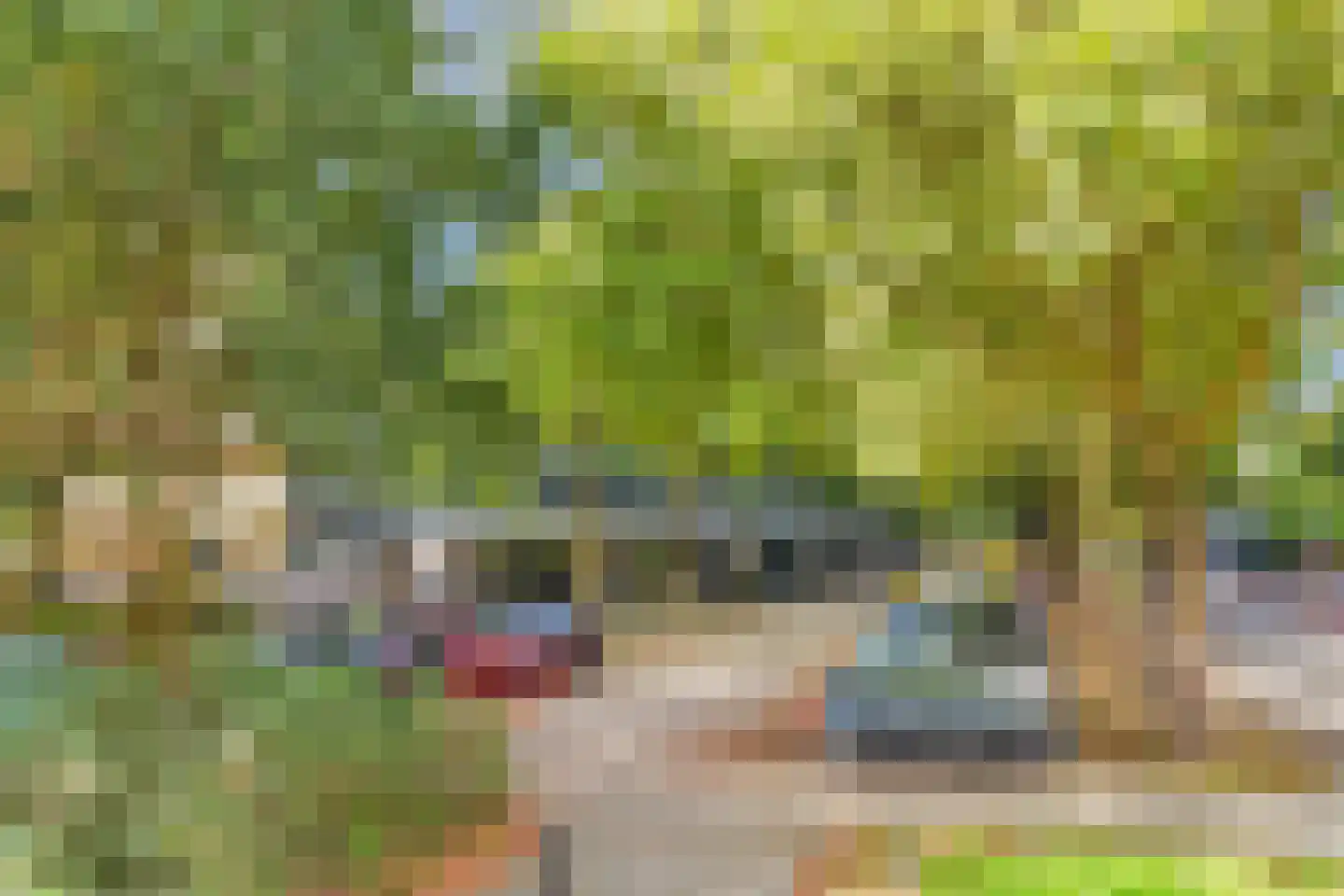 Laan van Vollenhove 2221 Zeist thumbnail 32