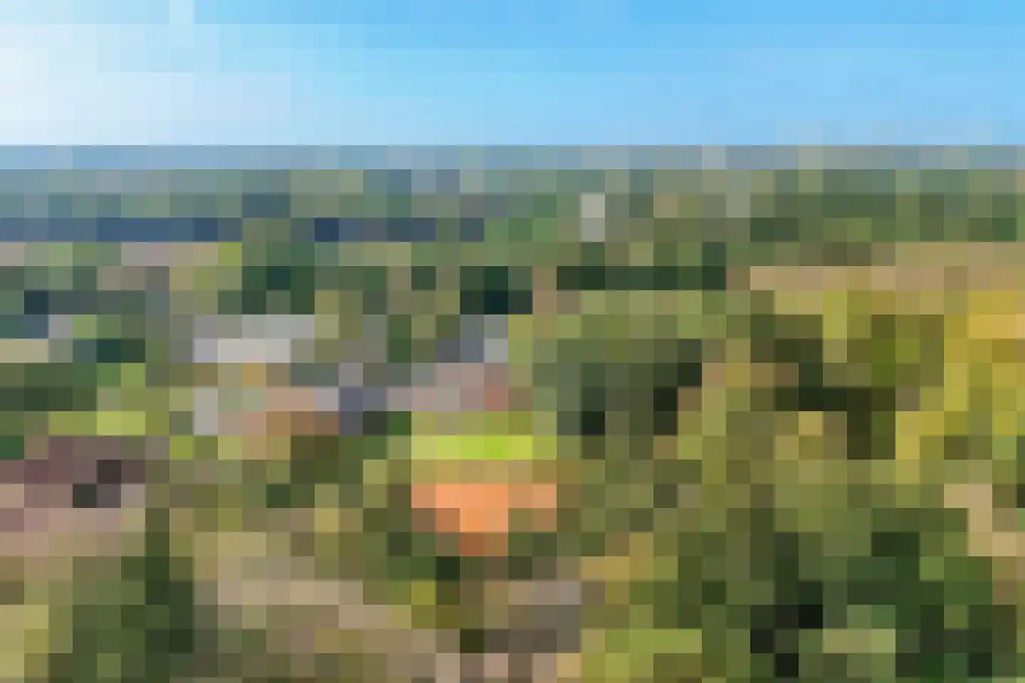 Laan van Vollenhove 2221 Zeist thumbnail 34