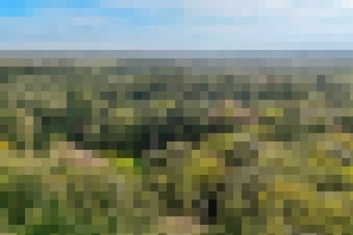 Laan van Vollenhove 2221 Zeist thumbnail 35