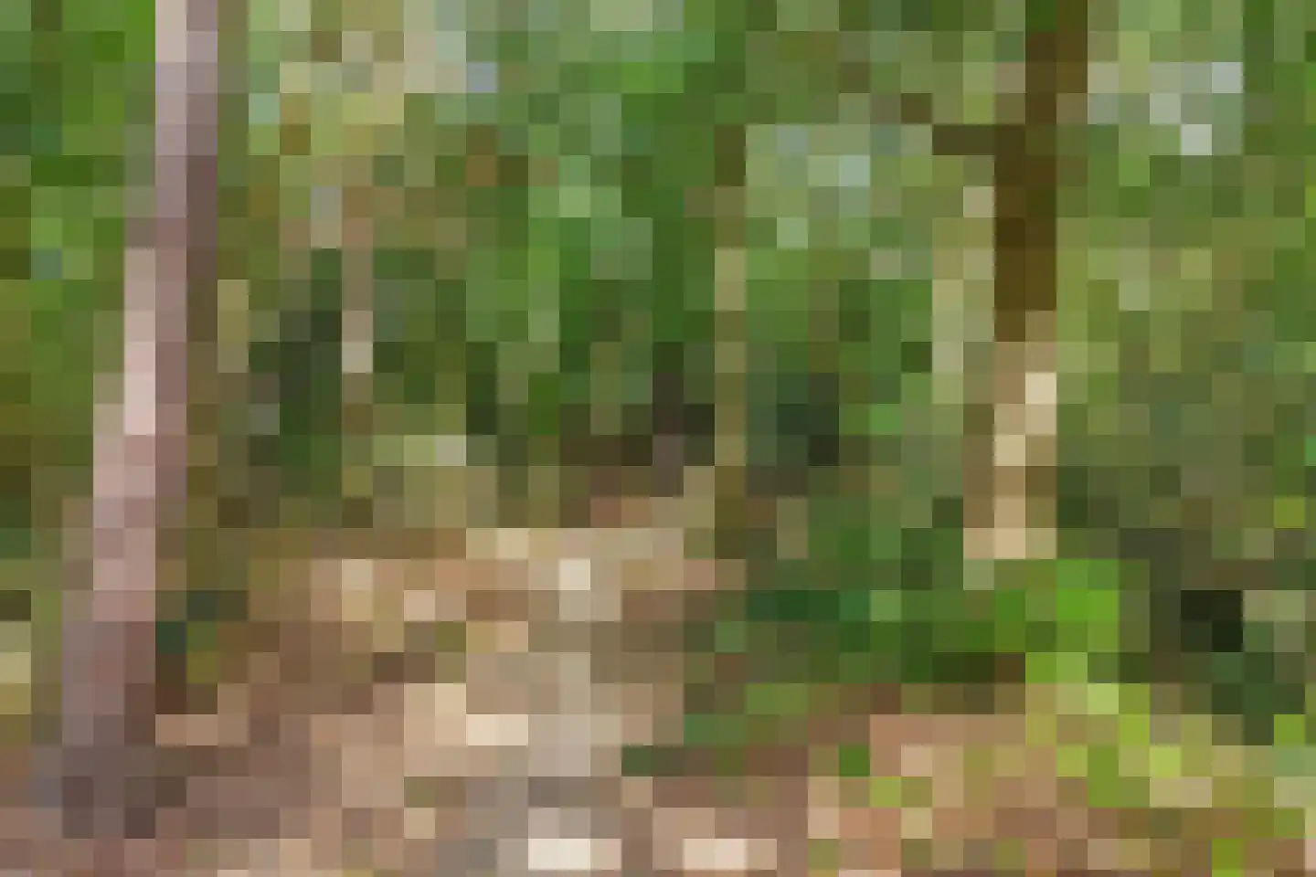 Laan van Vollenhove 2221 Zeist thumbnail 36