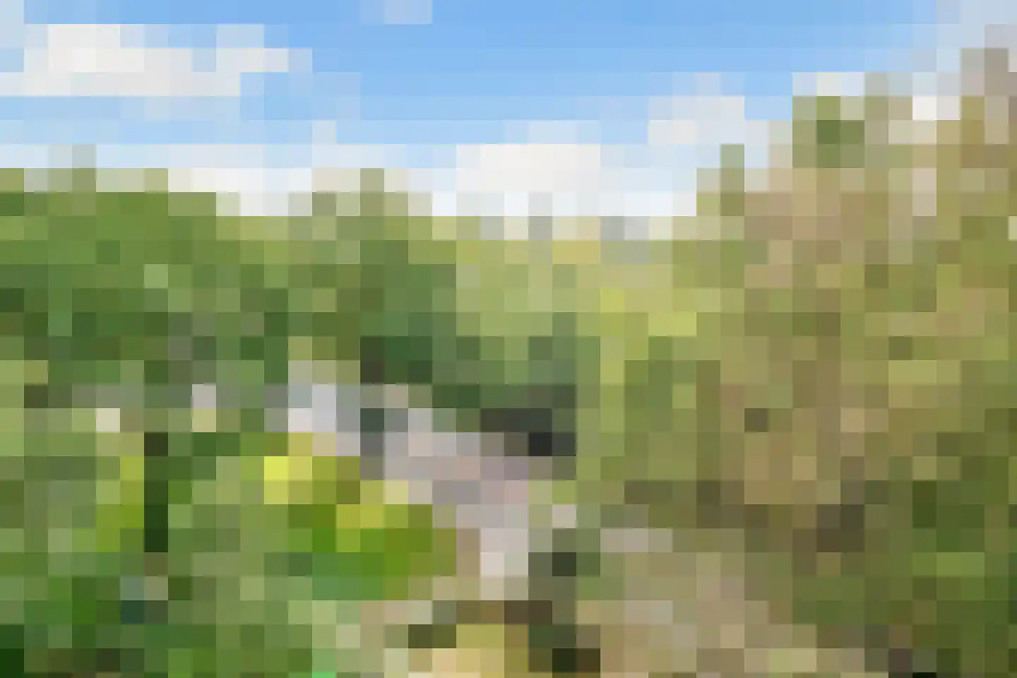 Laan van Vollenhove 2221 Zeist thumbnail 9