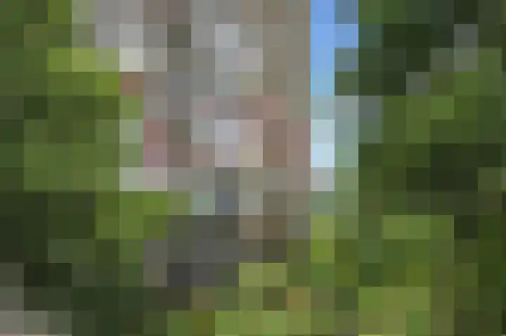 Laan van Vollenhove 2227 Zeist