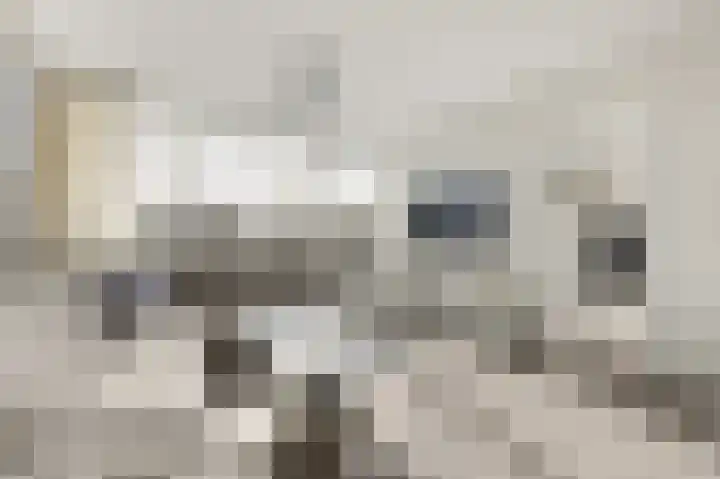Laan van Vollenhove 2227 Zeist thumbnail 12