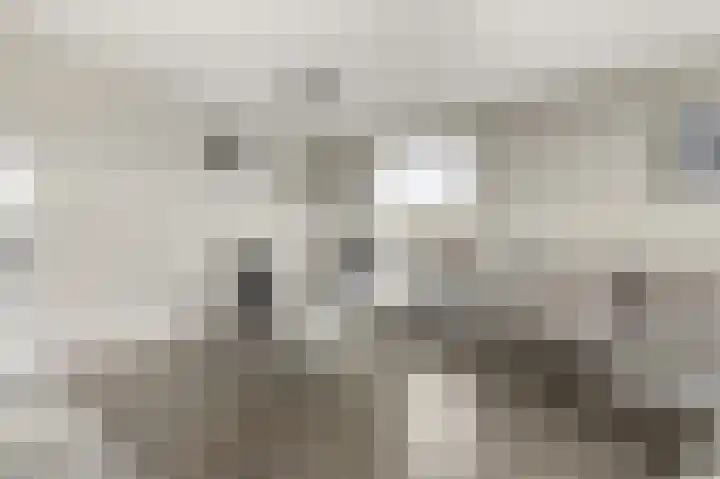 Laan van Vollenhove 2227 Zeist thumbnail 13