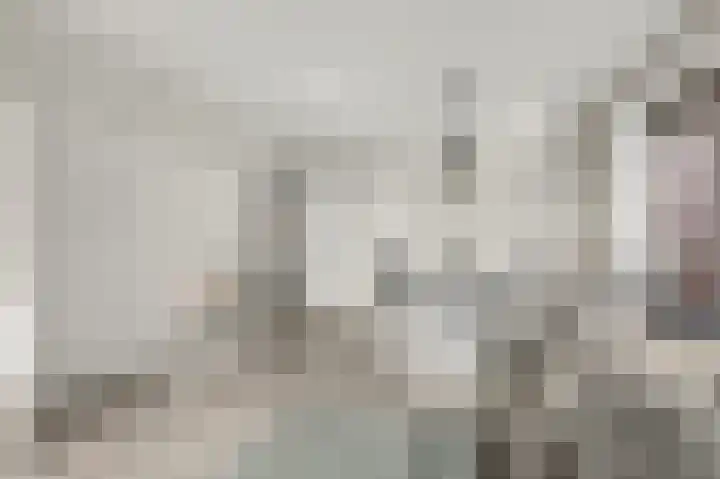 Laan van Vollenhove 2227 Zeist thumbnail 14