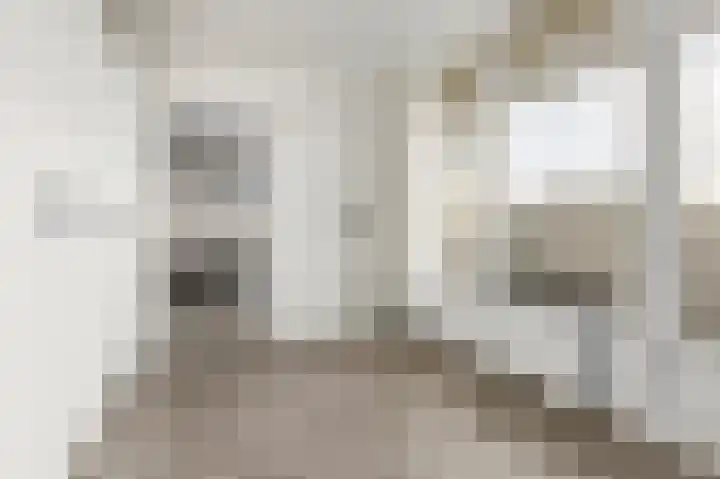 Laan van Vollenhove 2227 Zeist thumbnail 15