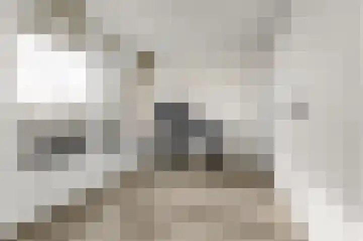 Laan van Vollenhove 2227 Zeist thumbnail 16
