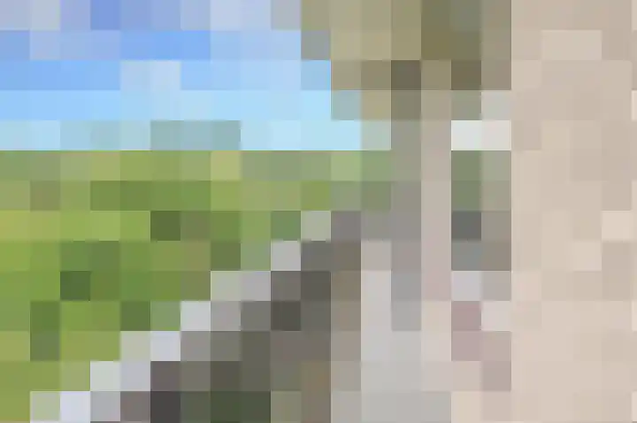 Laan van Vollenhove 2227 Zeist thumbnail 19