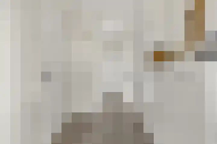 Laan van Vollenhove 2227 Zeist thumbnail 20