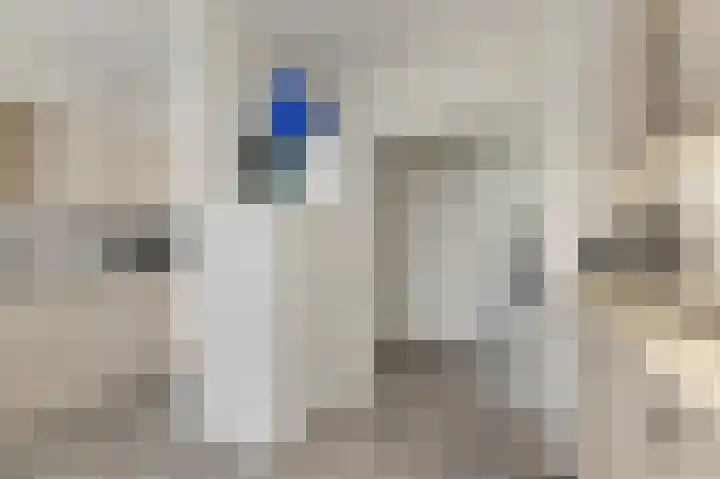 Laan van Vollenhove 2227 Zeist thumbnail 21