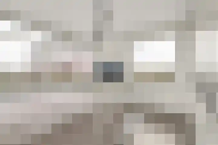 Laan van Vollenhove 2227 Zeist thumbnail 24