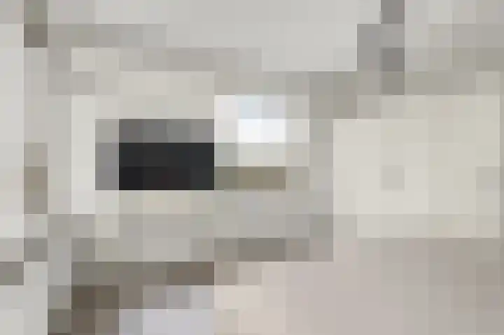 Laan van Vollenhove 2227 Zeist thumbnail 25