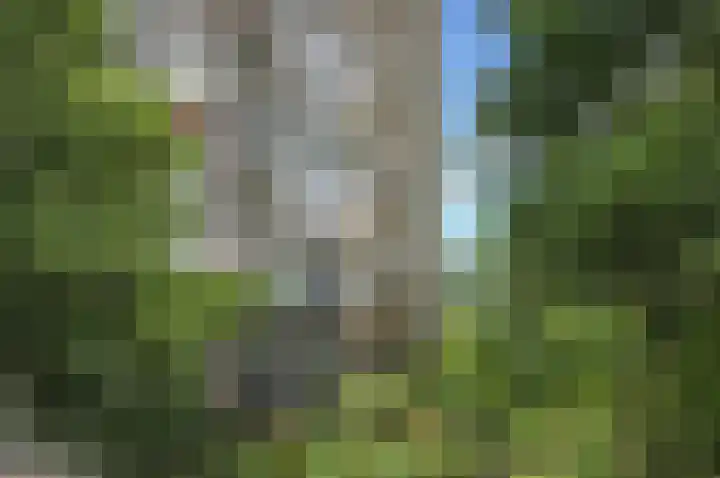 Laan van Vollenhove 2227 Zeist thumbnail 5