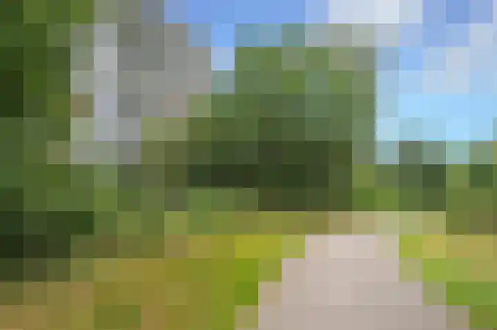 Laan van Vollenhove 2227 Zeist thumbnail 6