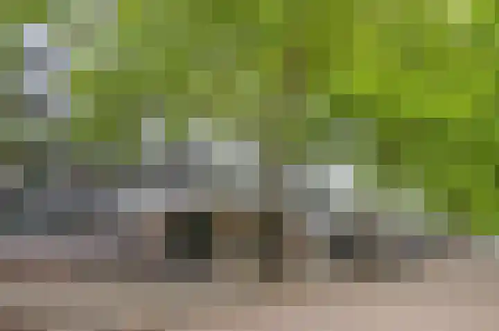 Laan van Vollenhove 2227 Zeist thumbnail 7