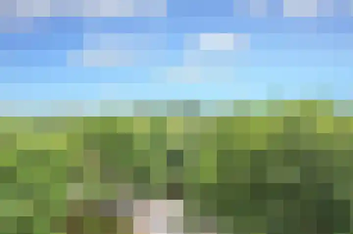 Laan van Vollenhove 2227 Zeist thumbnail 8