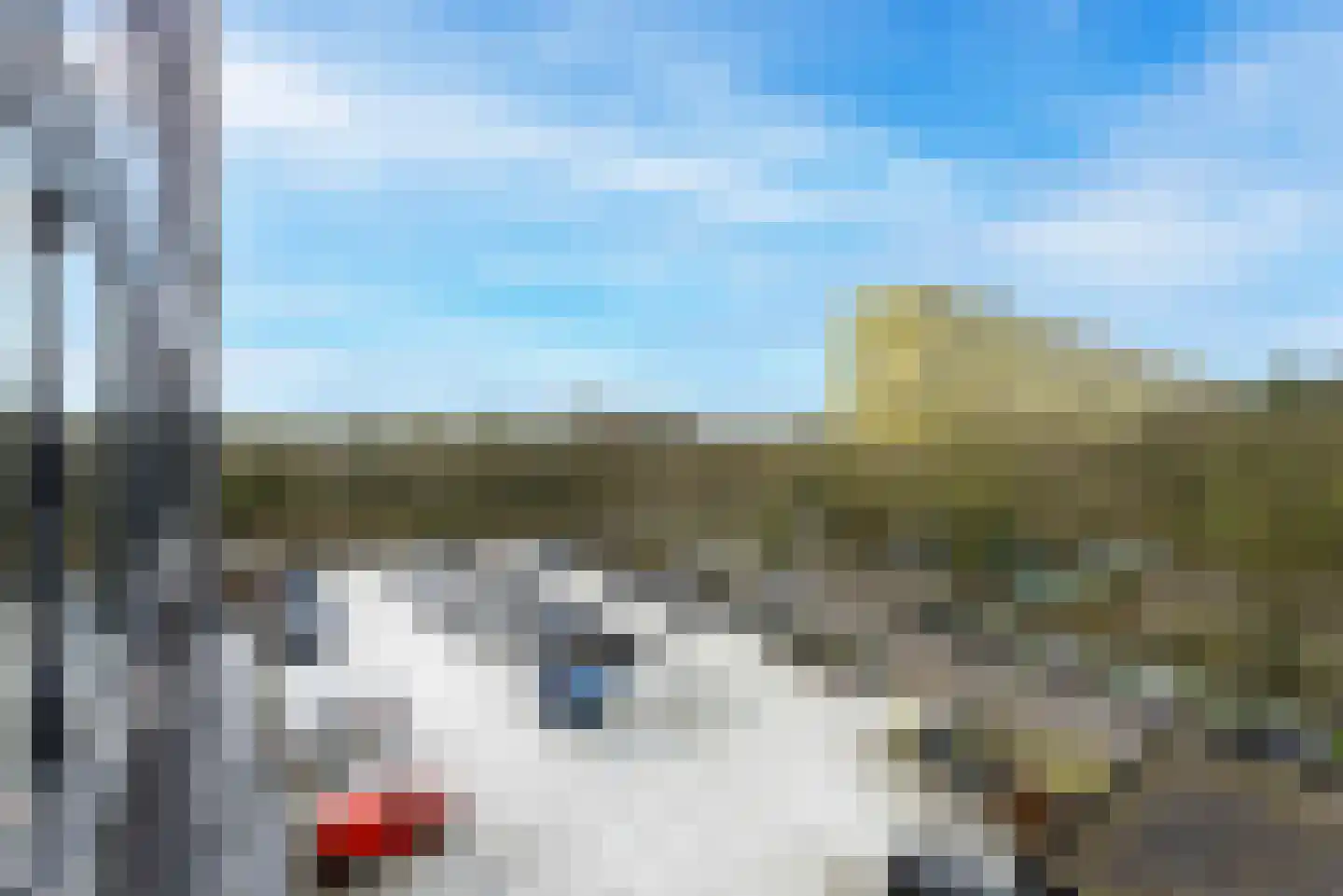 Laan van Vollenhove 228 Zeist thumbnail 29