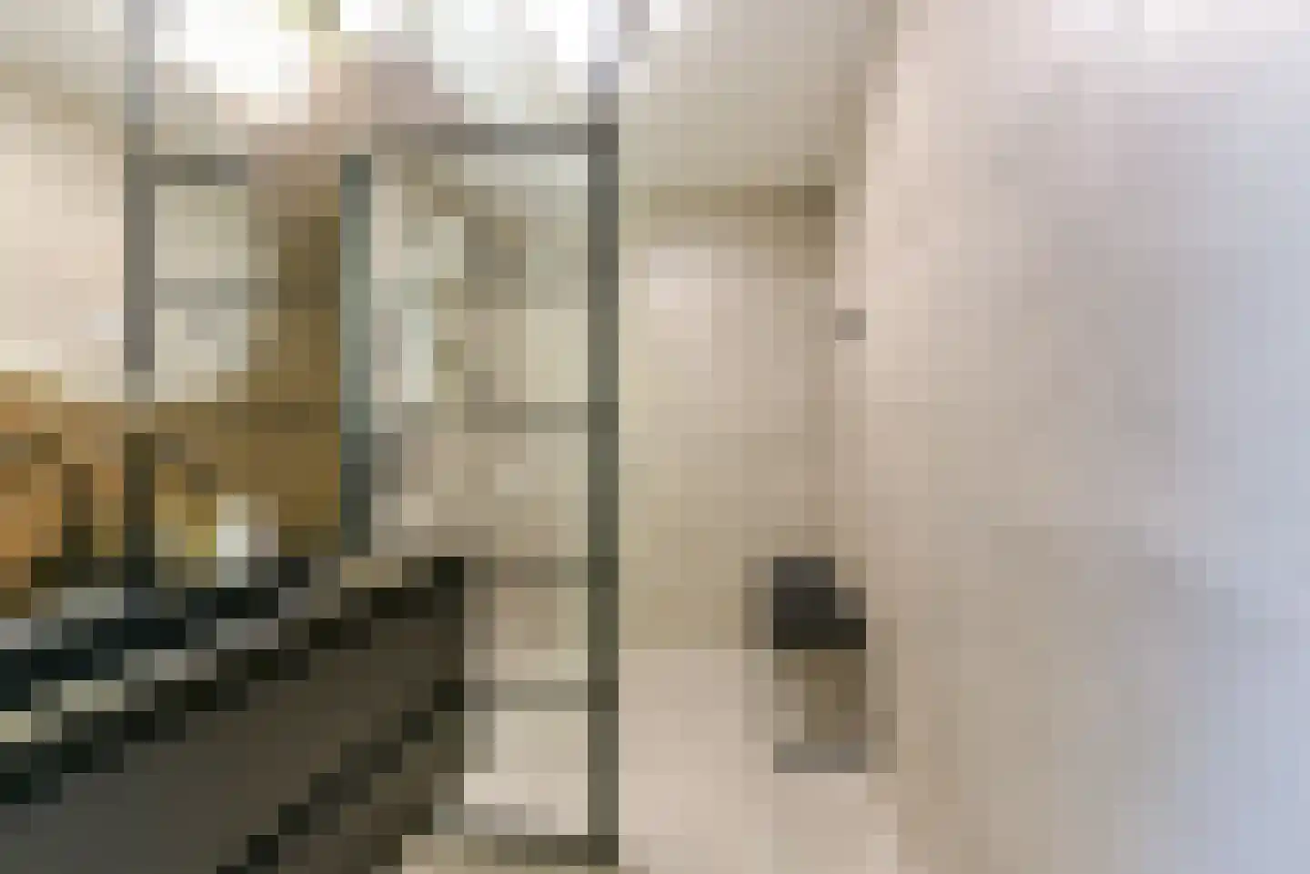 Laan van Vollenhove 228 Zeist thumbnail 33