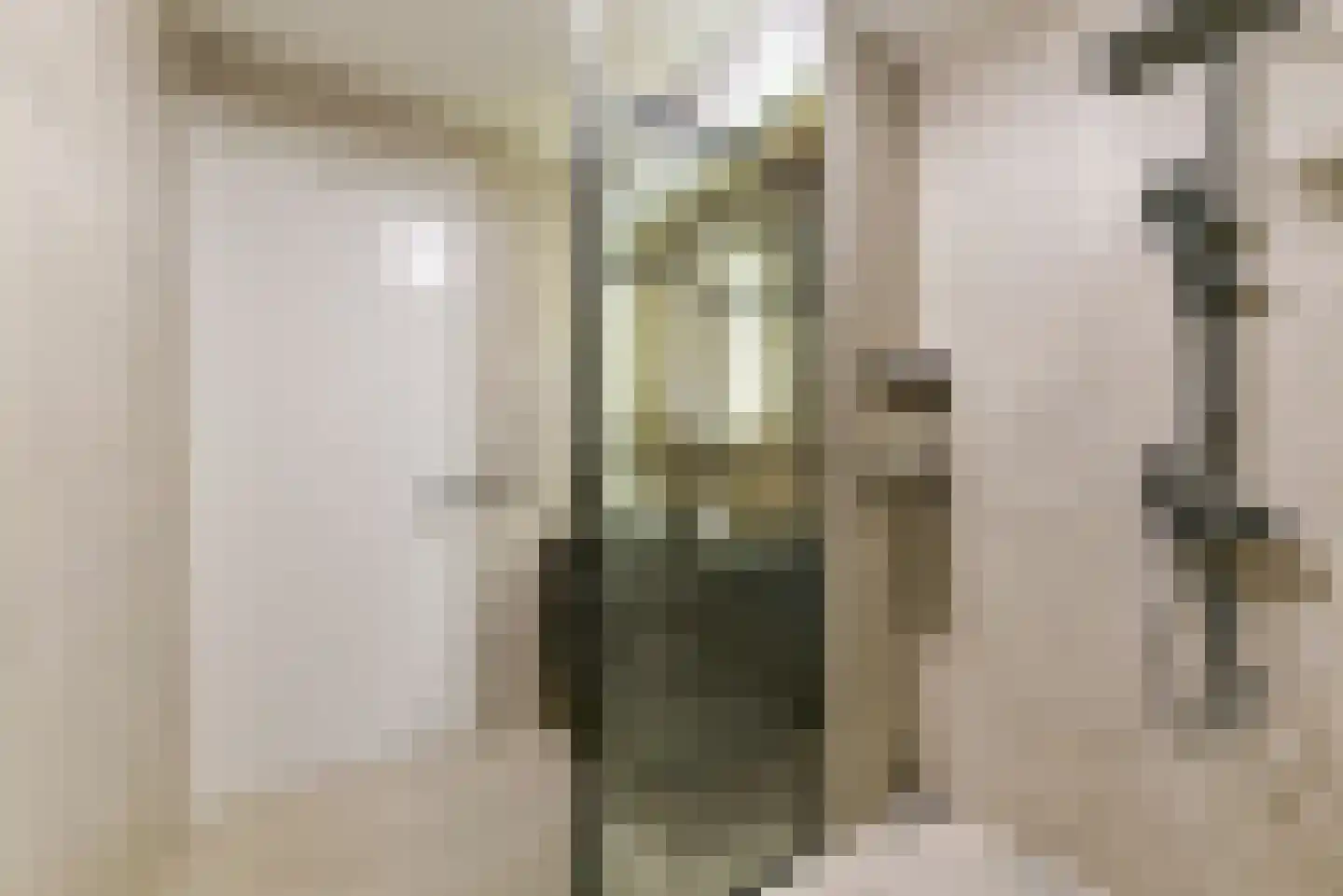 Laan van Vollenhove 228 Zeist thumbnail 34