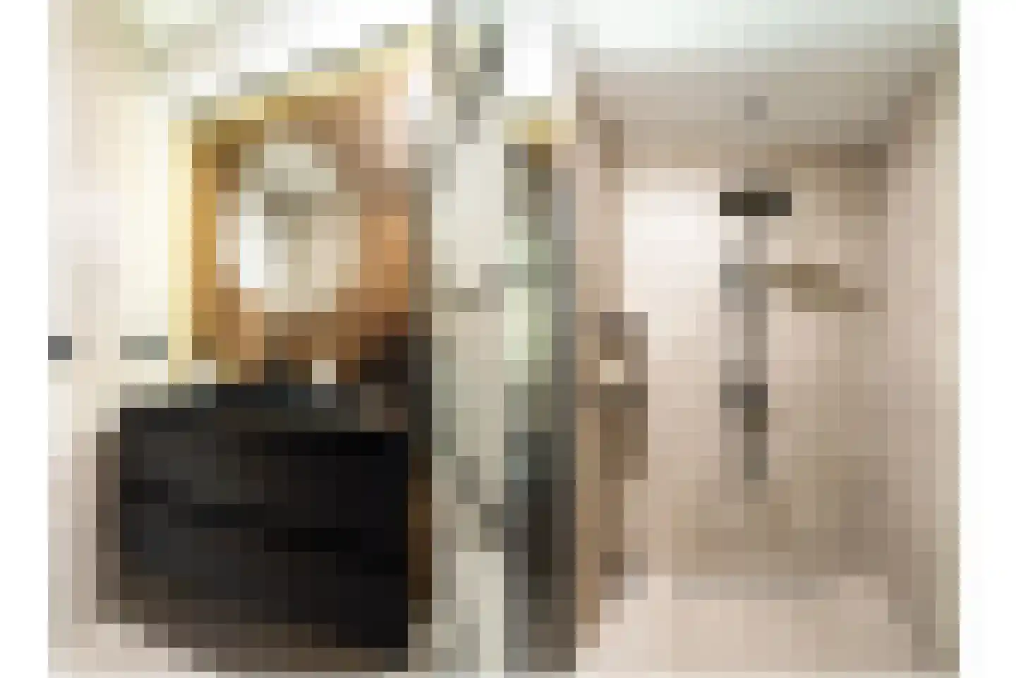 Laan van Vollenhove 228 Zeist thumbnail 35