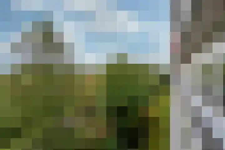 Laan van Vollenhove 2315 Zeist thumbnail 10