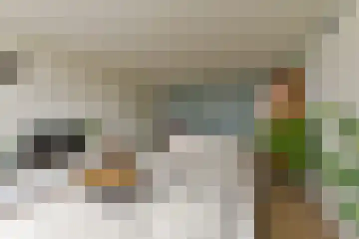 Laan van Vollenhove 2315 Zeist thumbnail 11