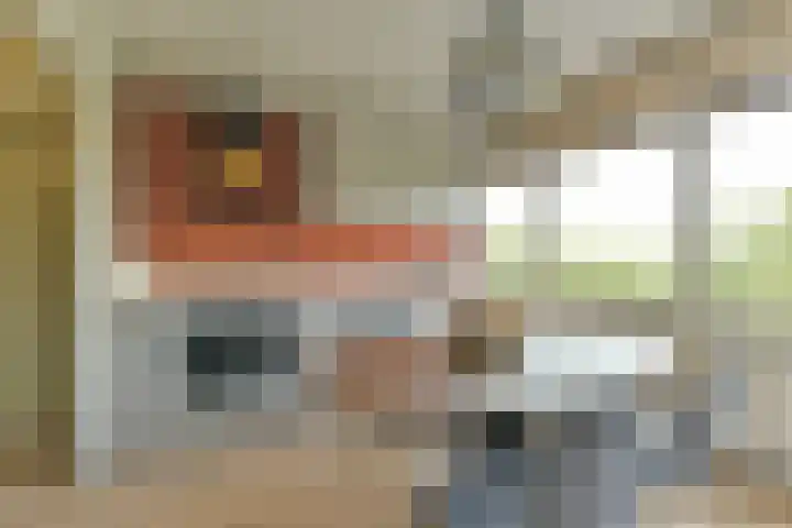 Laan van Vollenhove 2315 Zeist thumbnail 15