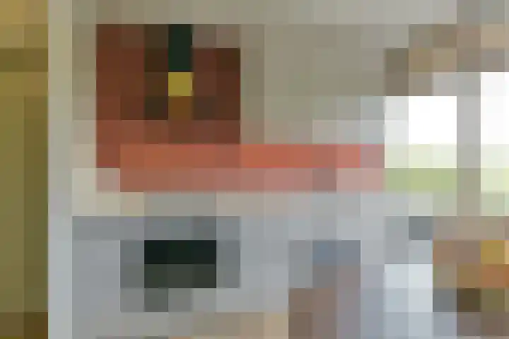 Laan van Vollenhove 2315 Zeist thumbnail 16