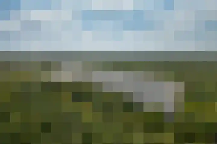 Laan van Vollenhove 2315 Zeist foto 2