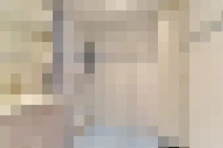 Laan van Vollenhove 2315 Zeist thumbnail 31