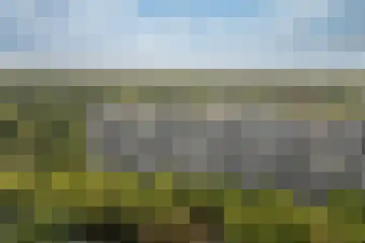 Laan van Vollenhove 2315 Zeist thumbnail 35