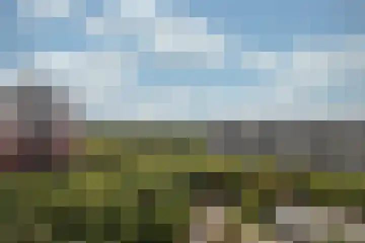 Laan van Vollenhove 2315 Zeist thumbnail 36