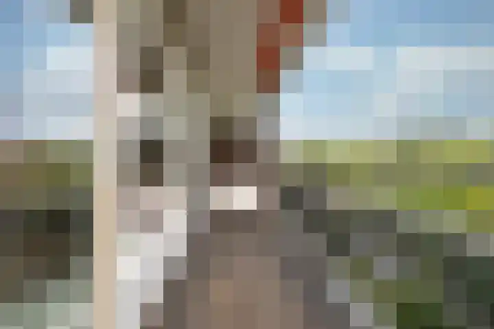 Laan van Vollenhove 2315 Zeist thumbnail 7