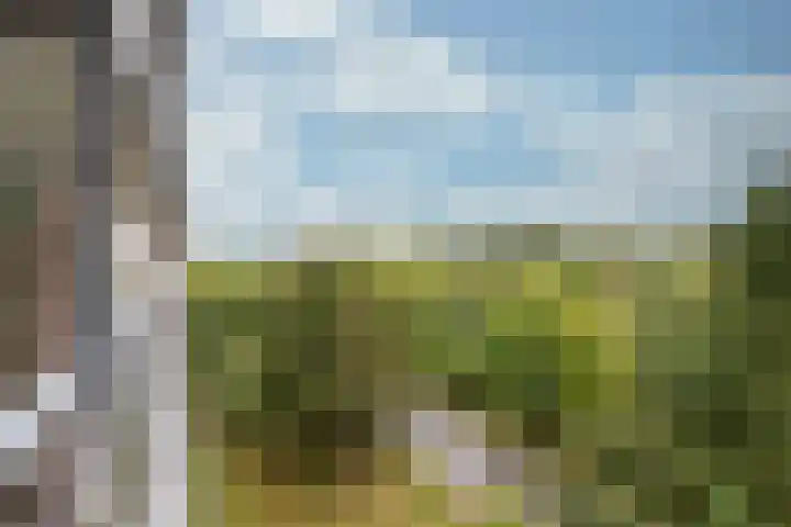 Laan van Vollenhove 2315 Zeist thumbnail 8