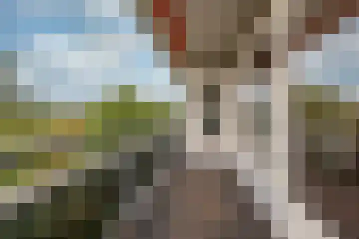 Laan van Vollenhove 2315 Zeist thumbnail 9