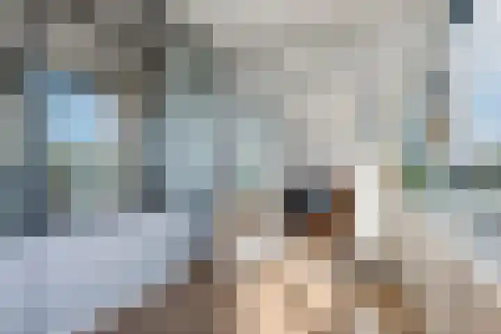 Laan van Vollenhove 238 Zeist thumbnail 18