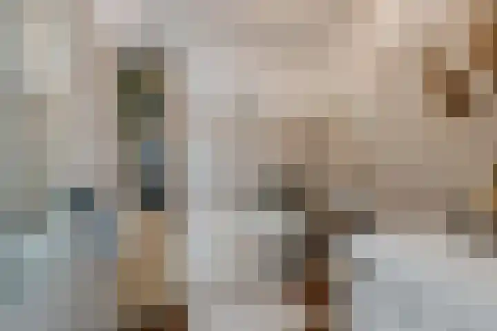 Laan van Vollenhove 238 Zeist thumbnail 27
