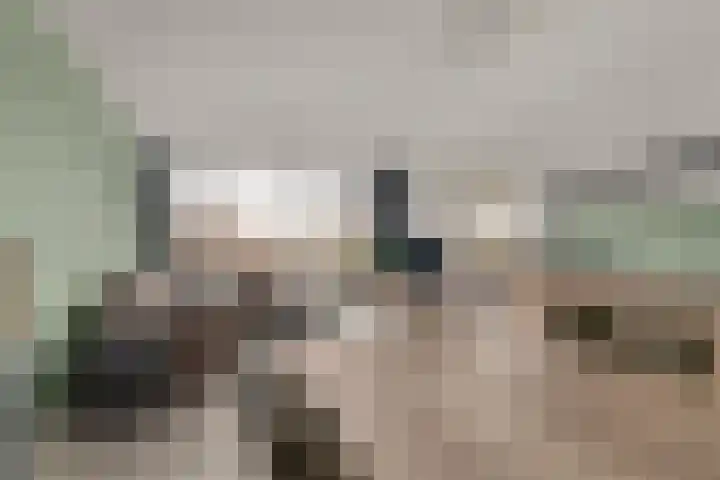 Laan van Vollenhove 2473 Zeist